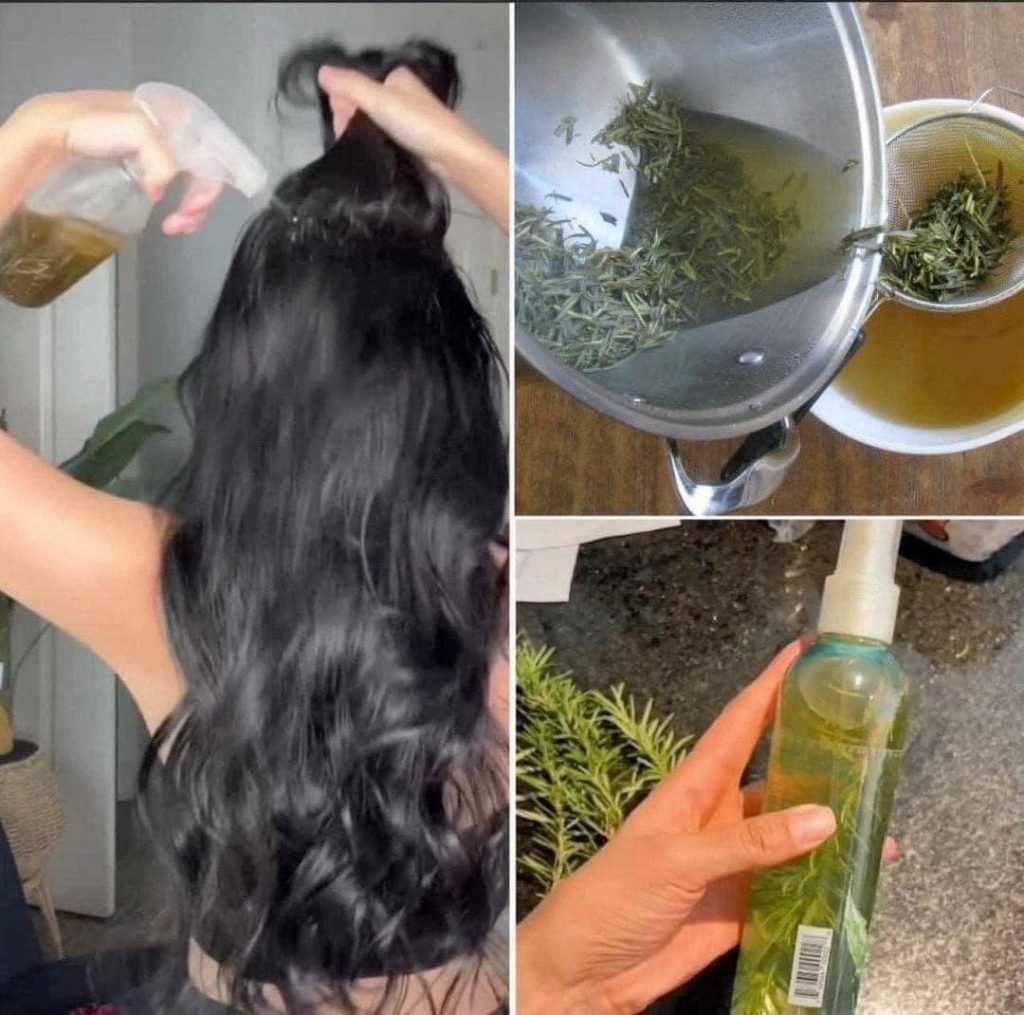 366829207 852525592901374 691529367424233337 n